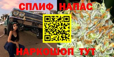 стафф Балашиха