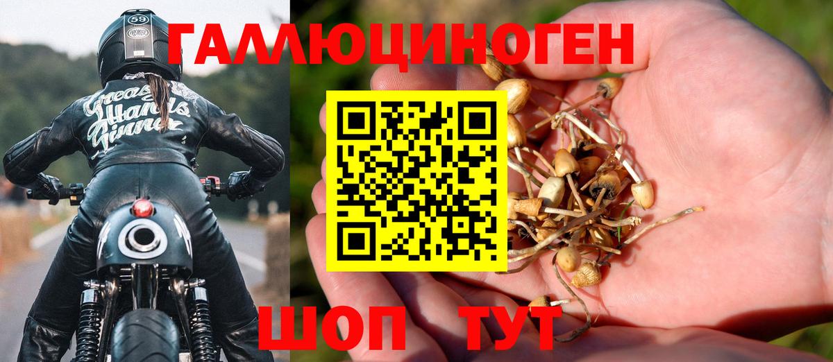 Псилоцибиновые грибы мицелий Гусев